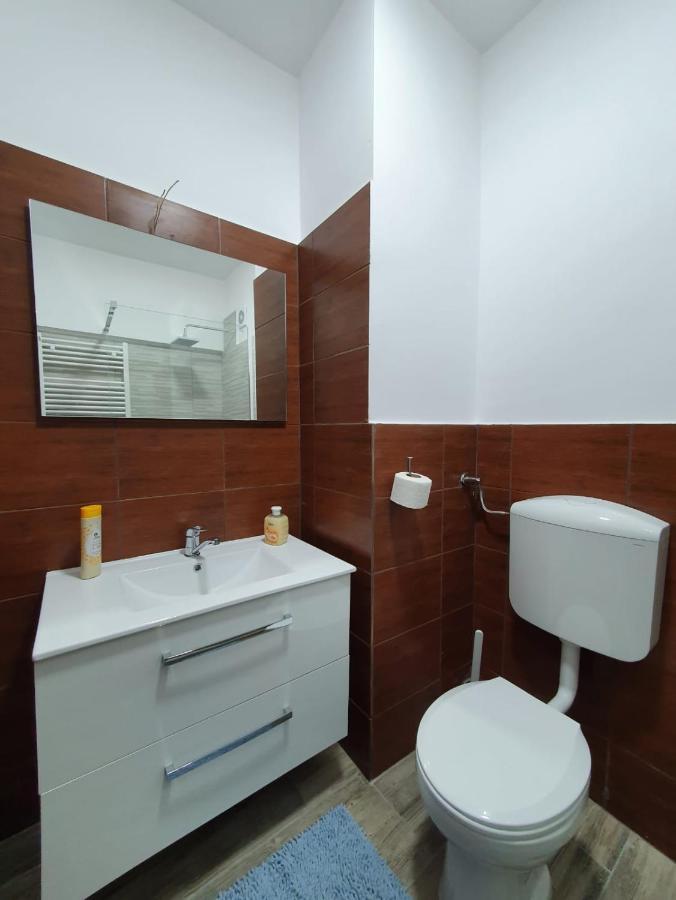 Petrosani Camere De Inchiriat - Hotel Petroshani Srl Buitenkant foto