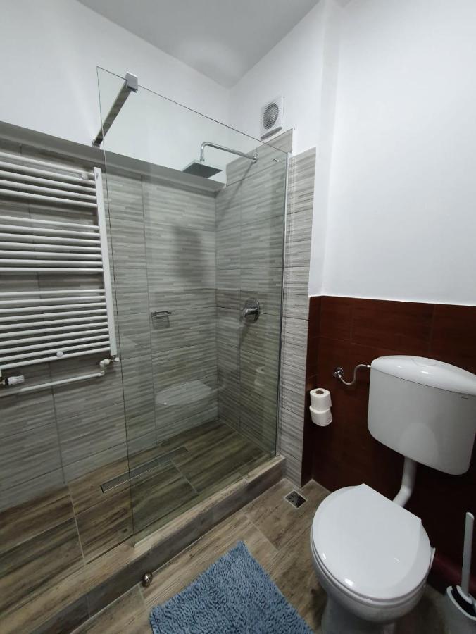 Petrosani Camere De Inchiriat - Hotel Petroshani Srl Buitenkant foto