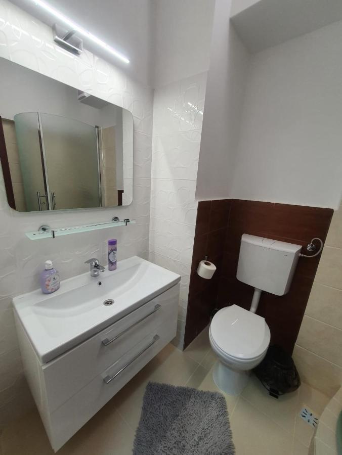 Petrosani Camere De Inchiriat - Hotel Petroshani Srl Buitenkant foto